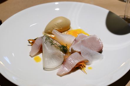 Japanischer Hamachi mit Sojasauceneis, Rettich und Karottendressing im Freistoff